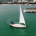terra21