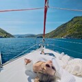 yacht-beneteau-oceanis-50-sommeliere-8